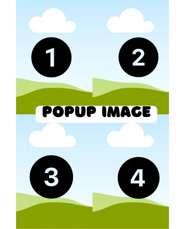 POP UP FRAME