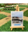 Spotify Memoroids