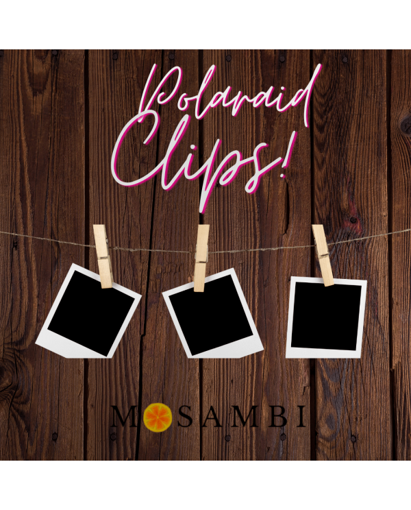 Wooden Clips (Set of 5)