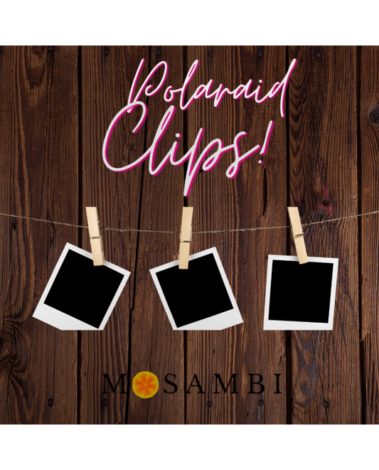 Wooden Clips (Set of 5)