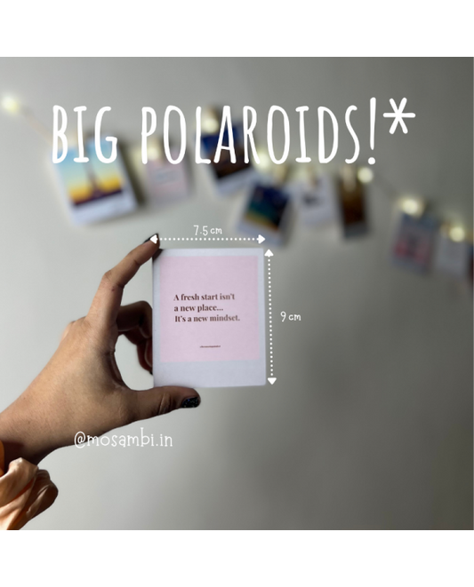 BUY 10 BIG AND GET 5 MINI FREE